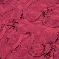 Fuchsia on Fuchsia Azalea