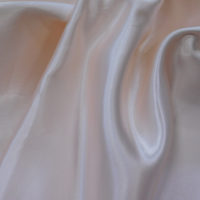 Bone Beige Satin