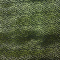 Metallic Lime and Black Rio