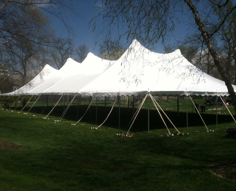 Twin Peak Pole Tent Style