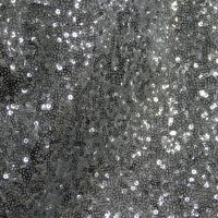 Silver Sequin
