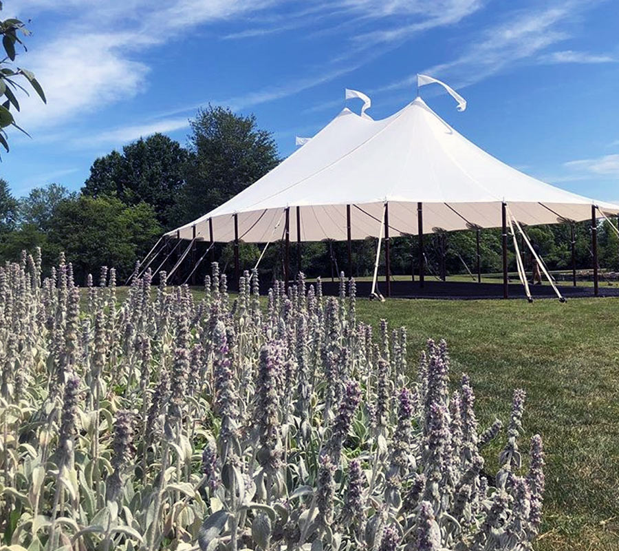 Stillwater Tents Available at Lasting Impressions