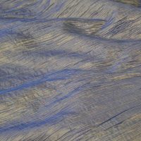 Champagne & Navy Crinkle