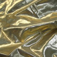 Gold Lamé