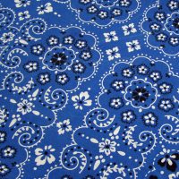Blue Bandana Print