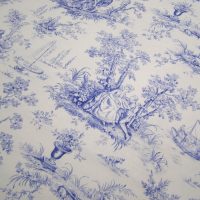 Blue Toile