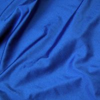 Royal Blue Spandex