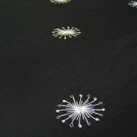 White on Black Stellar